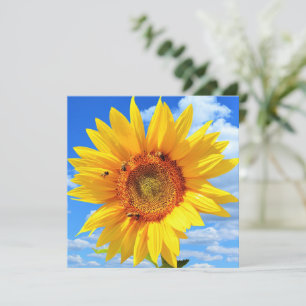 Carte de tournesol et d'abeilles jaunes