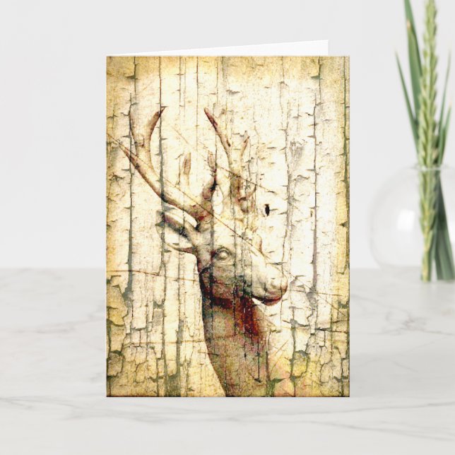 Carte de toutes occasions de cerfs (Devant)