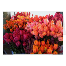 Carte de tulipes de place de Pike