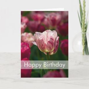 Carte de Tulips Carte d'anniversaire