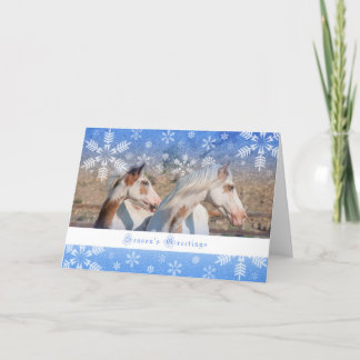 Carte de vacances 5x7 - Poulin de jument Choctaw