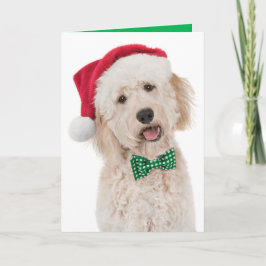 Carte de vacances avec Doodle d'or