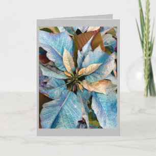 Carte de vacances Blue Pointsettia