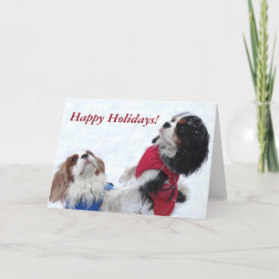 Carte de vacances Cavalier King Charles Spaniel