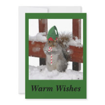 Carte de vacances Cute Squirrel Flat sur fond vert