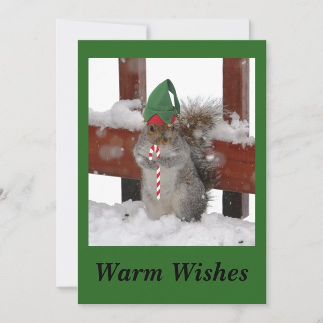 Carte de vacances Cute Squirrel Flat sur fond vert (Devant)