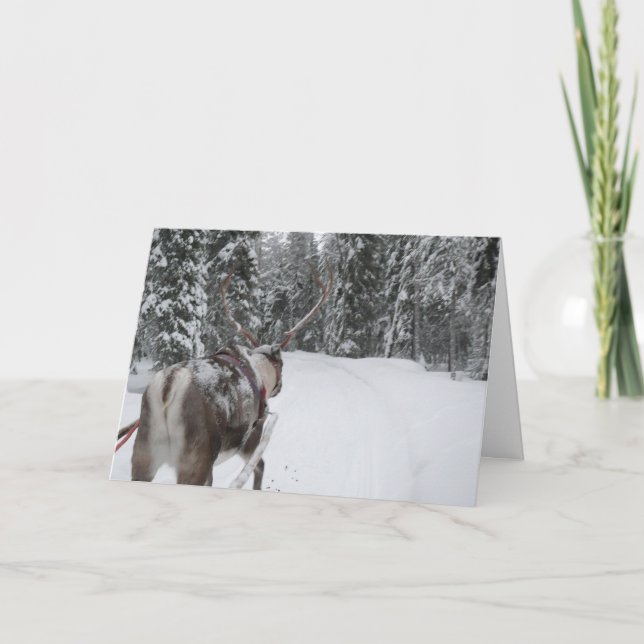 Carte de vacances de carte de Noël de renne de la (Devant)
