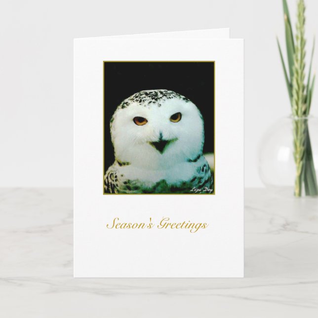 Carte de vacances de Chouette neigeuse - "Joyeux N (Devant)