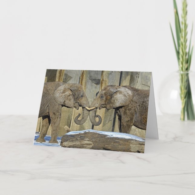 Carte de vacances de meilleurs amis d'éléphant (Devant)