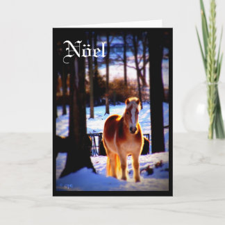 Carte de vacances de Nöel