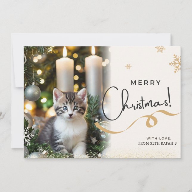 Carte de vacances de Noël du chat mignon (Devant)