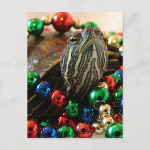 Carte de vacances de Noël Turtle