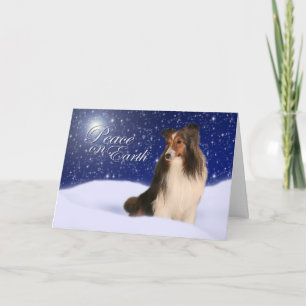 Carte de vacances de Sheltie de neige