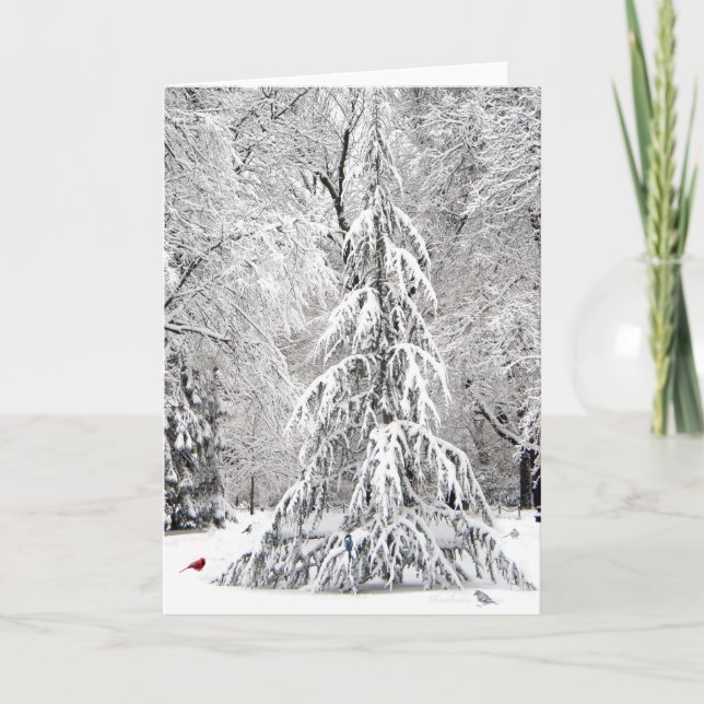Carte de vacances d'hiver : parc du jardin public  (Devant)