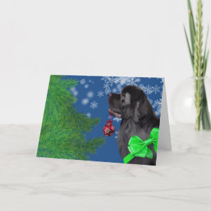 Carte de vacances d'ornement de Noël de