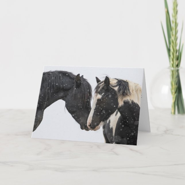 Carte de vacances "Flirtation" (Devant)