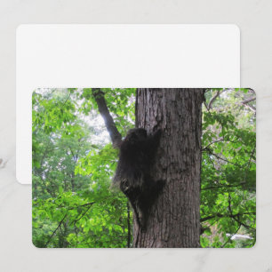 Carte de vacances haute Escalade