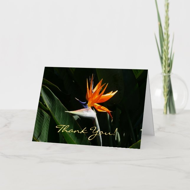 Carte De Vacances Métallisée Flower tropical orange paradise (Recto)