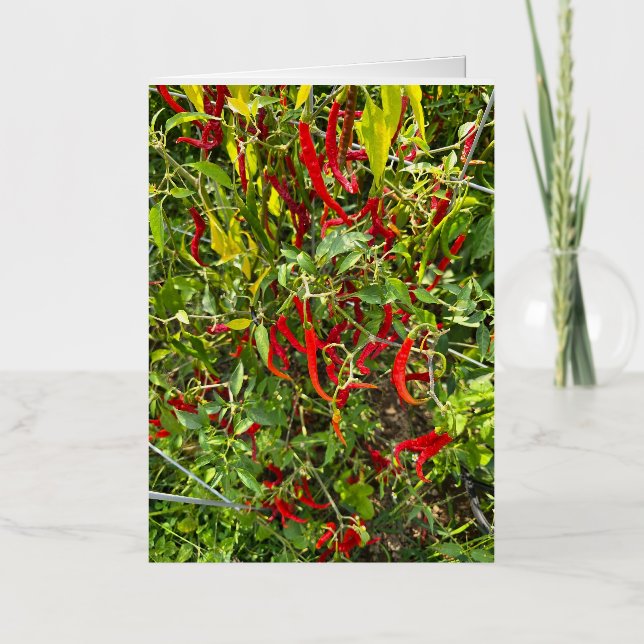 Carte De Vacances Métallisée Hot Peppers pour Hot Chile! (Recto)
