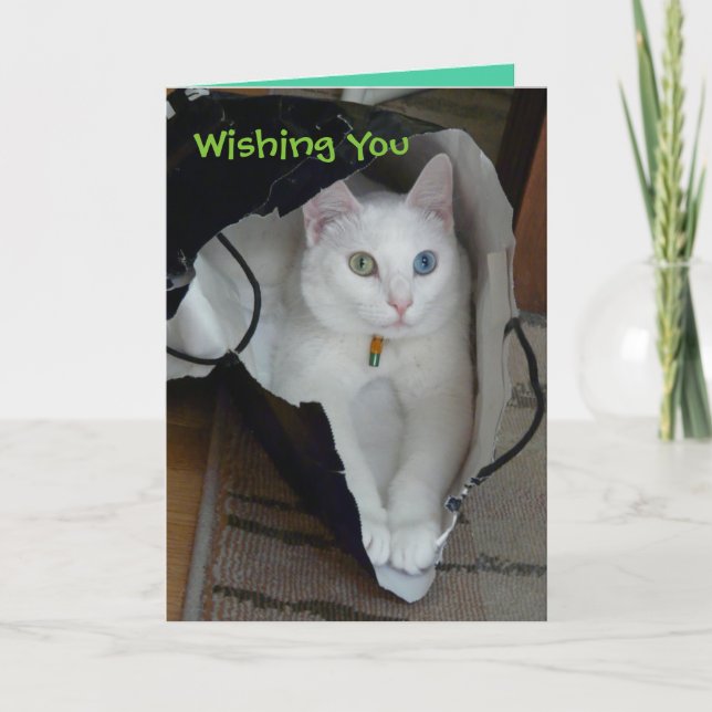 Carte de vacances mise en sac par sérénité (Devant)