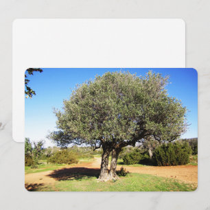 Carte de vacances Olive Tree Flat