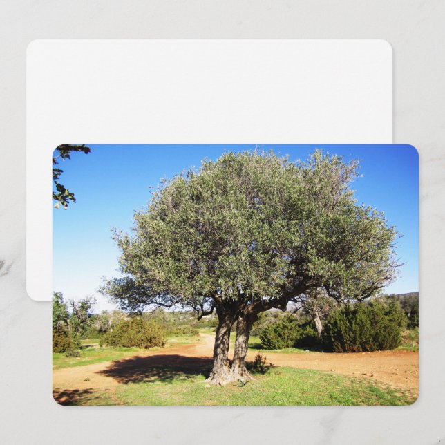 Carte de vacances Olive Tree Flat (Devant / Derrière)