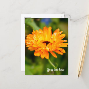 Carte de vacances Orange Marigold