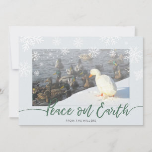 Carte de vacances Peace on Earth Ducks