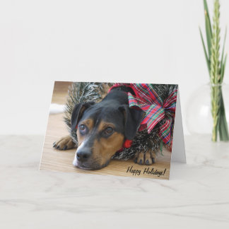 Carte de vacances "Père Noël des cookies ?"