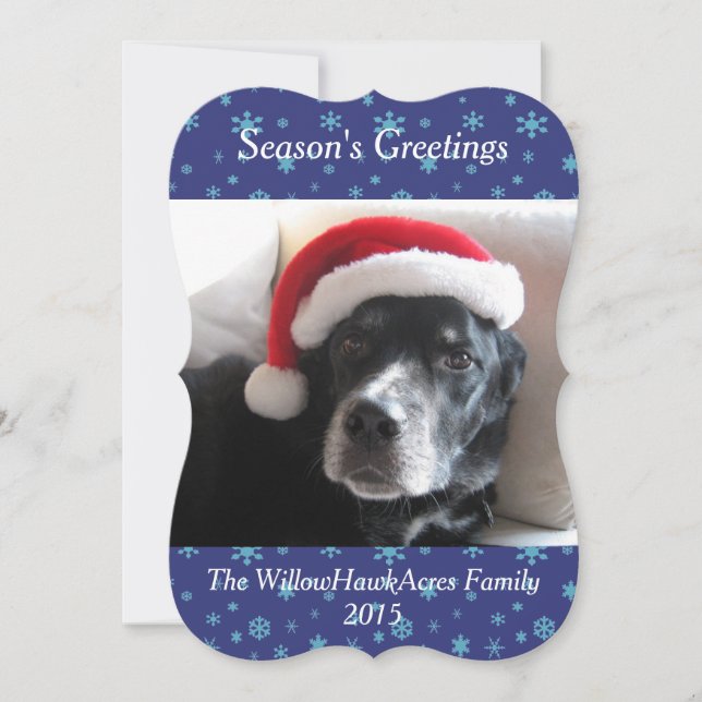 Carte de vacances père Noël Dog-Labrador/Rottweile (Devant)