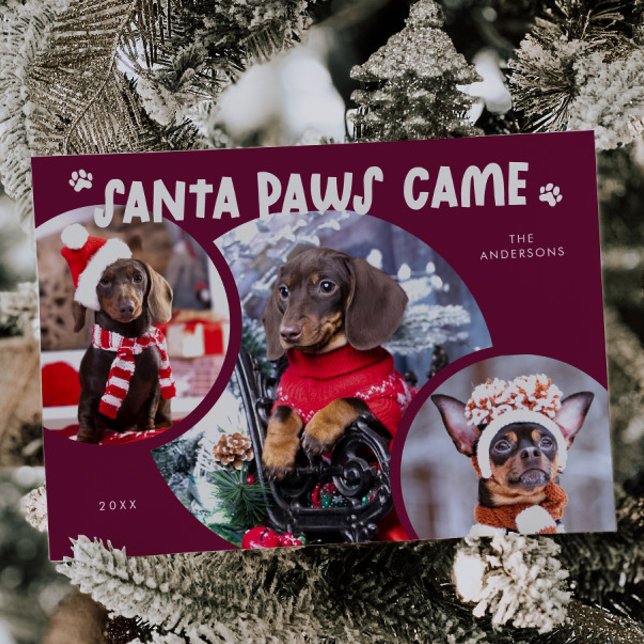 Carte de vacances père Noël Paws Cranberry Dog Pho (Créateur téléchargé)