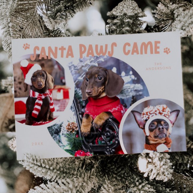 Carte de vacances père Noël Paws Peach Chien photo (Créateur téléchargé)