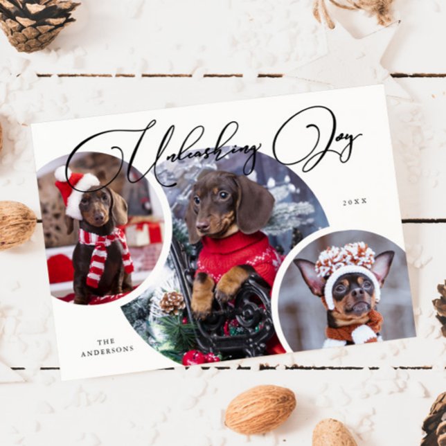 Carte de vacances photo de Chien blanc de la Joy U (Créateur téléchargé)