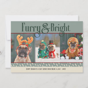 Carte de vacances photo de Noël pour chien furieux