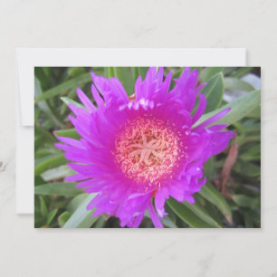 Carte de vacances Pigface Flat
