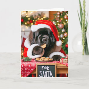 Carte de vacances pliée de 5" x 7" Père Noël Cooki