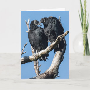 Carte de vacances pliée Valentine Vautour