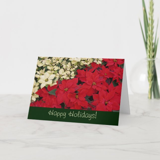 Carte de vacances Poinsettias Rouge et Blanc (Devant)