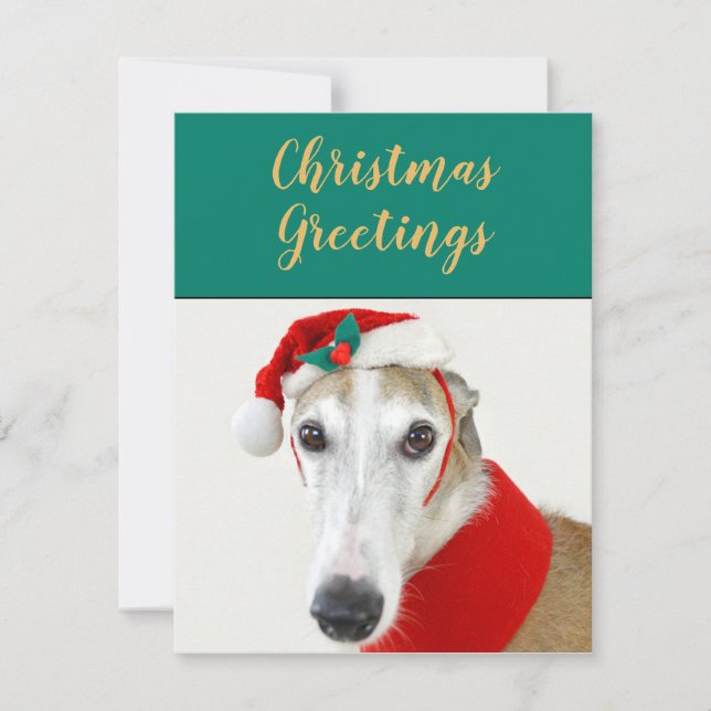 Carte de vacances pour chien de Noël greyhound (Devant)
