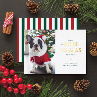 Carte de vacances pour chiens amusants de Falalas