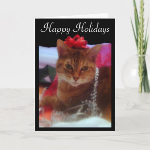 Carte de vacances "Precious Gift" Cat Photographie