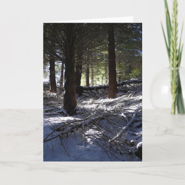 Carte de vacances, Queenstown maximal de Bob (Devant)