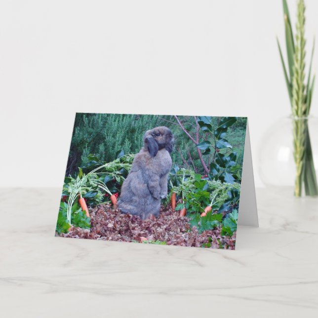 Carte de vacances Rabbit (Devant)