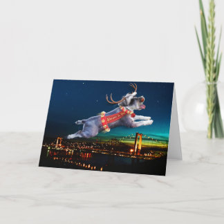 Carte de vacances Schnauzer Reindeer - Pont Carqui