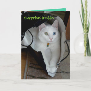 Carte de vacances Sérénité en sacs