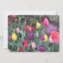 Carte de vacances Tulip Garden