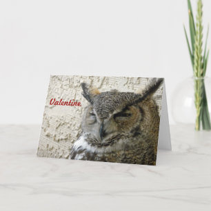 Carte de Valentine de hibou