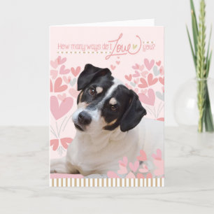 Carte de Valentines de chien mignonne - Combien de