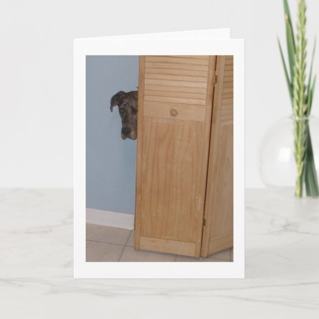 Carte de Valentines de great dane (Devant)