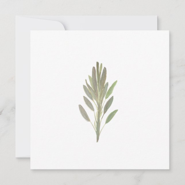 Carte de verdure plante aux herbes Sage (Devant)